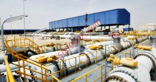 وظائف شركة نفط وغاز رائدة في قطر لمختلف التخصصات