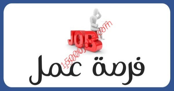 وظائف متنوعة شاغرة في الدوحة لمختلف التخصصات والمؤهلات