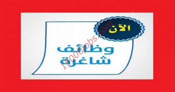 وظائف الجمعة من سلطنة عمان لمختلف التخصصات