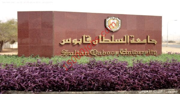 وظائف جامعة السلطان قابوس للتخصصات الأكاديمية