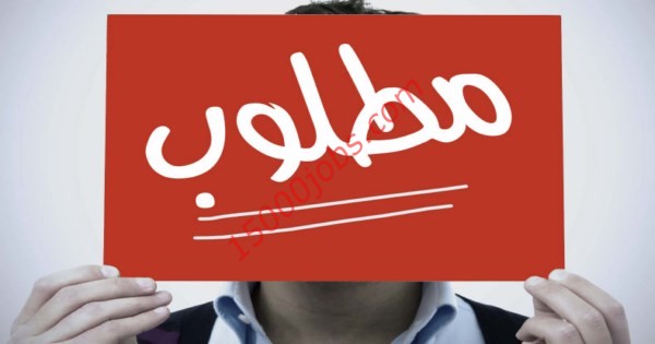 وظائف شاغرة في مملكة البحرين لمختلف التخصصات | الجمعة 31 يناير