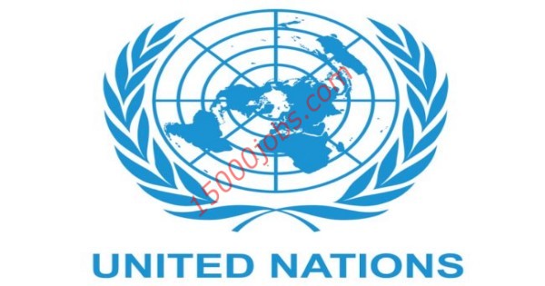 الأمانة العامة لهيئة الأمم المتحدة تعلن 3 برامج توظيف لجميع التخصصات