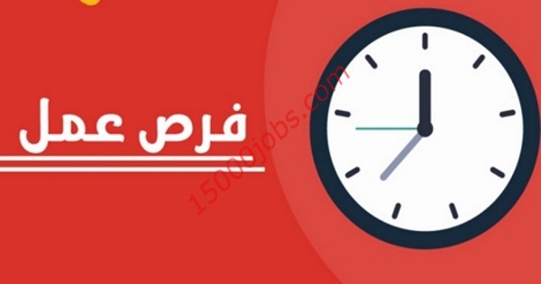 وظائف الجمعة لمختلف التخصصات والمؤهلات في دولة الامارات | 13 نوفمبر