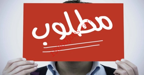 وظائف الجمعة في سلطنة عمان لمختلف التخصصات | 4 ديسمبر