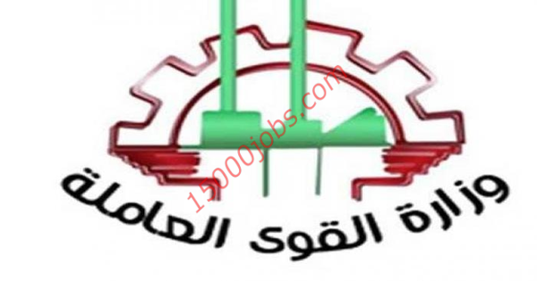 تعيين القوى العاملـة المصرية ل 6576 شاباً بمحافظة القاهرة