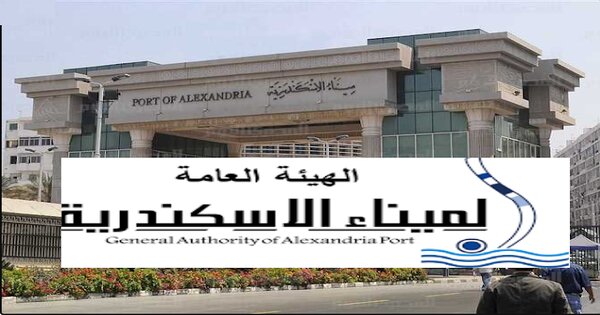 وظائف هيئة ميناء الاسكندرية للمؤهلات العليا والدبلومات والسائقين