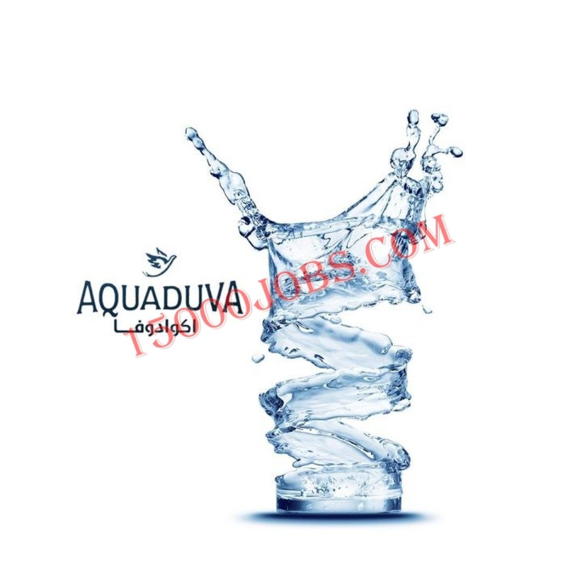 شركة اكوادوفا لتعبئة المياه e1637406093784 - 15000 وظيفة