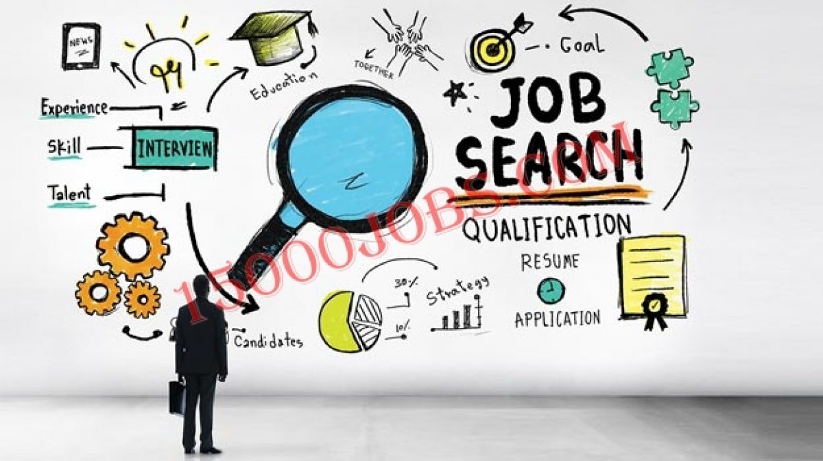 Find a Job 1 e1637402089560 - 15000 وظيفة