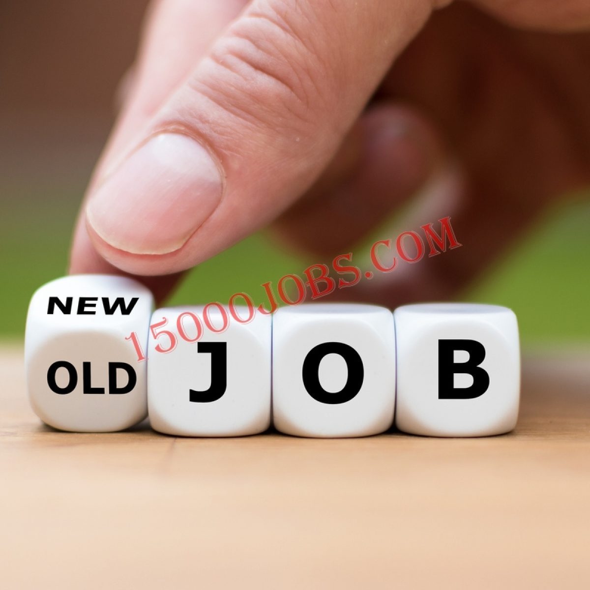 New Job e1637668251123 - 15000 وظيفة