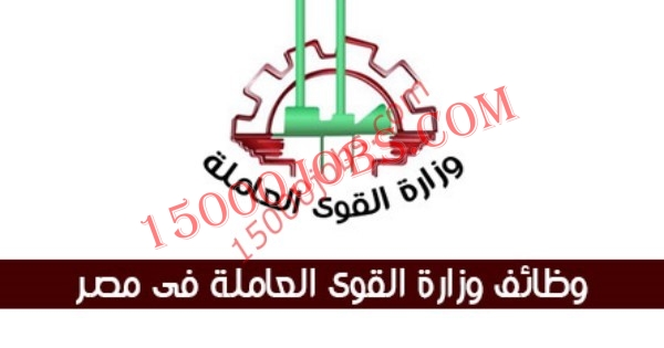 عاجل وظائف القوى العاملة فى 15 محافظة بمصر لمختلف التخصصات