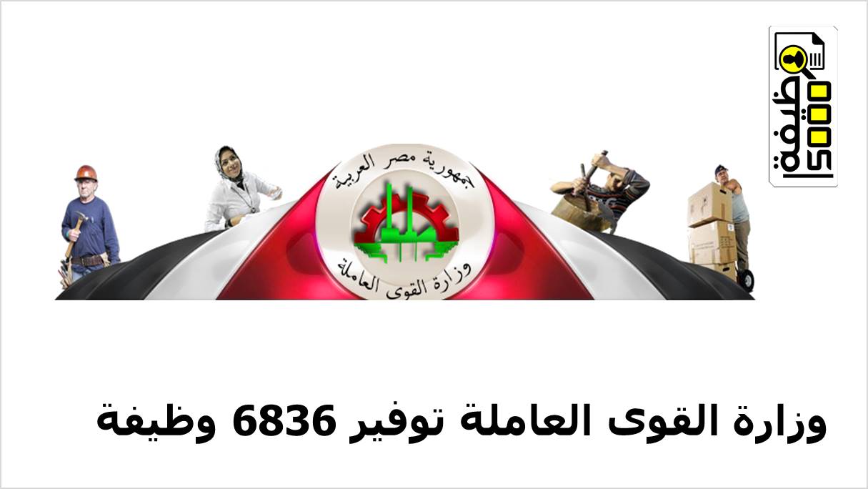 وزارة القوى العاملة توفير 6836 فرصة عمل بـ19 محافظة