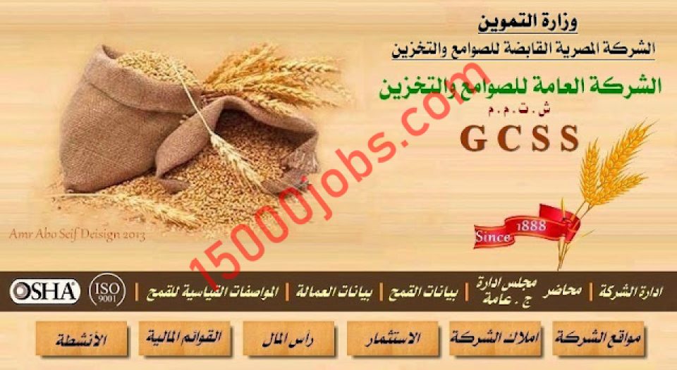 الشركة المصرية القابضة للصوامع والتخزين توفر وظائف في 8 محافظات