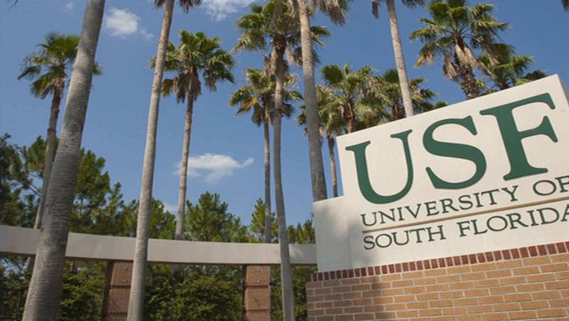 جامعة جنوب فلوريدا في الكويت توفر وظائف شاغرة متنوعة