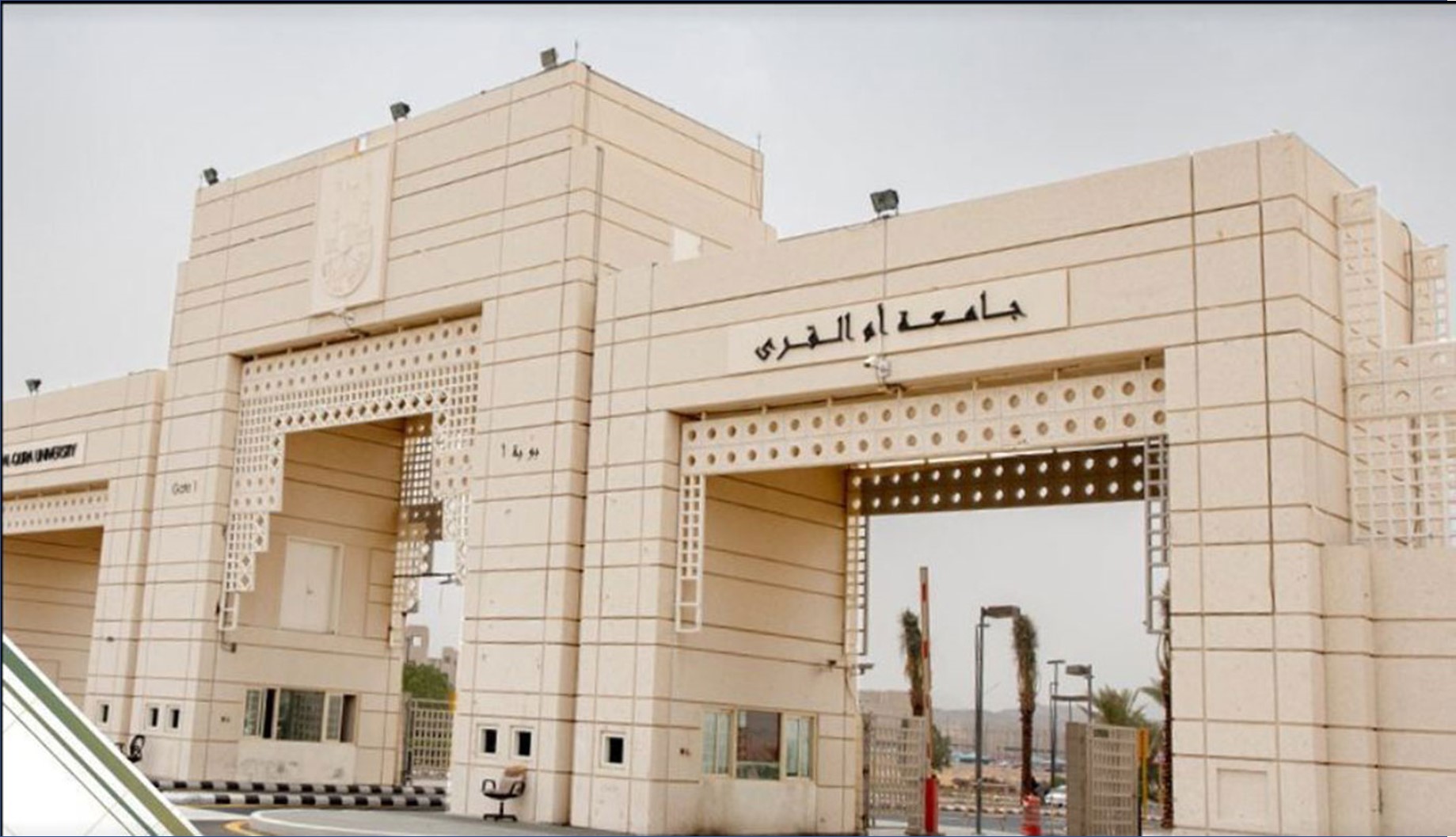 جامعة أم القرى تعلن عن فتح باب التقديم للتدريس للرجال والنساء