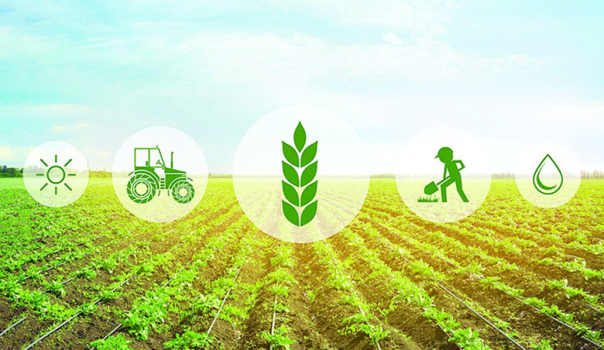 شركة زراعية في عمان توفر وظائف هندسية ومالية واستقبال