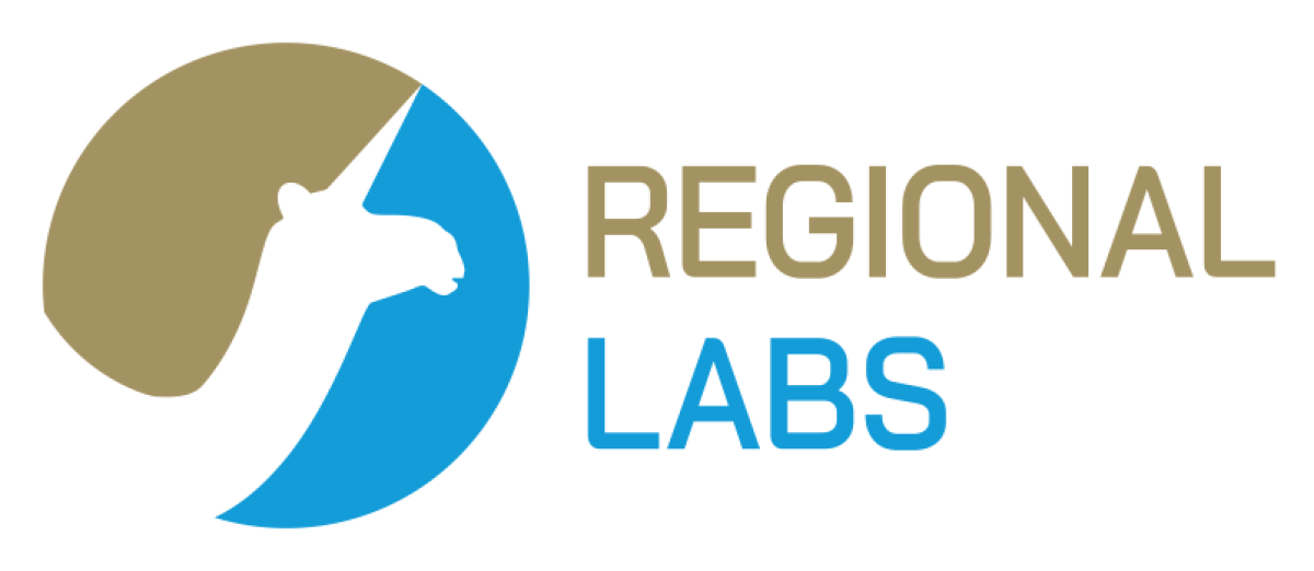 شركة Regional Labs تعلن عن وظائف هندسية وتقنية