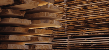 وظائف الشركة الفرنسية للصناعات الخشبية للمؤهلات المتوسطة