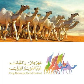 النسخة الثامنة من مهرجان الملك عبد العزيز للإبل تجذب الجماهير
