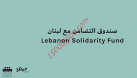 دورة دعم المؤسسات والفضاءات الثقافية من صندوق التضامن مع لبنان